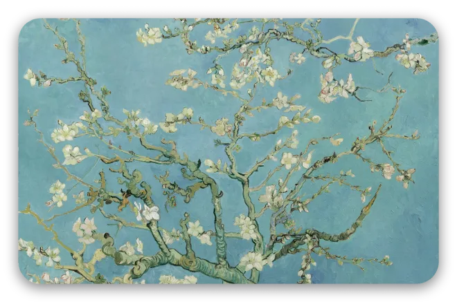 Amandelbloesem van Van Gogh als pas sticker