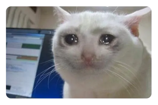 Huilende kat meme pas sticker, crying cat