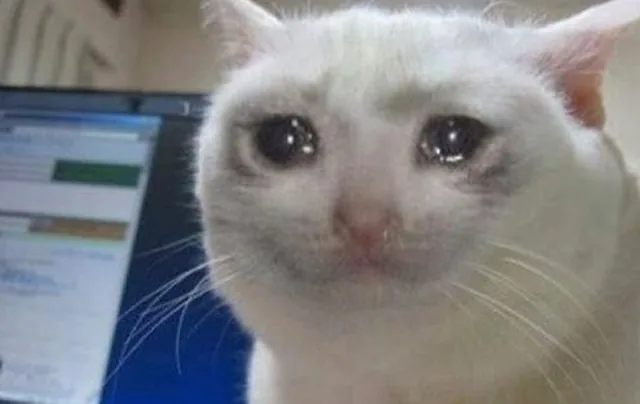 Cry cat - pinpas sticker