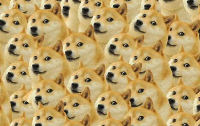 Doge - pinpas sticker