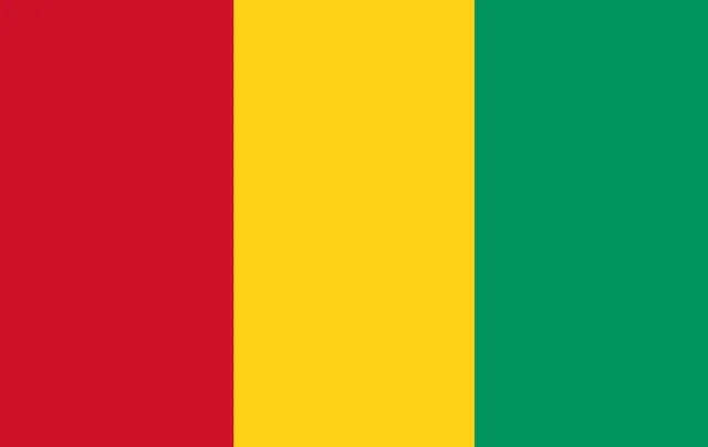 Guinee - pinpas sticker