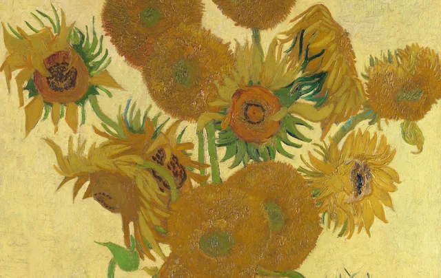 Zonnebloemen