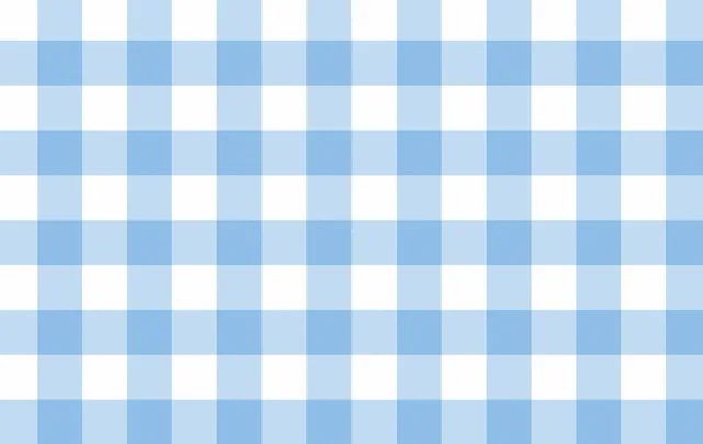 Gingham lichtblauw