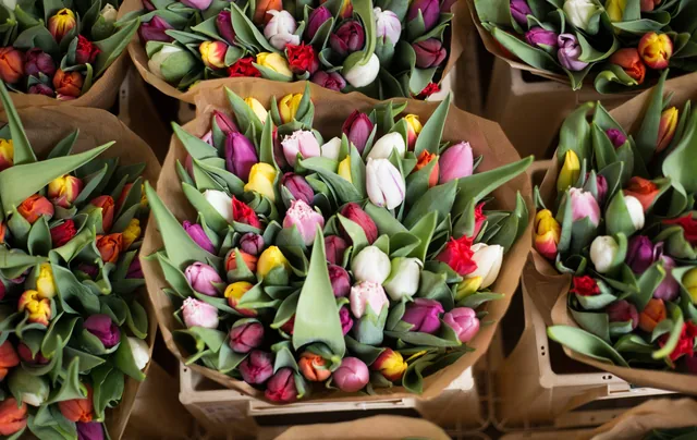 Tulpen op de bloemenmarkt