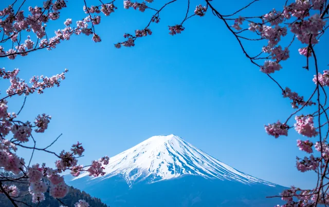 Mount Fuji